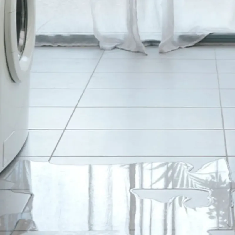Appliance Leak Cleanup in Morrison, IL