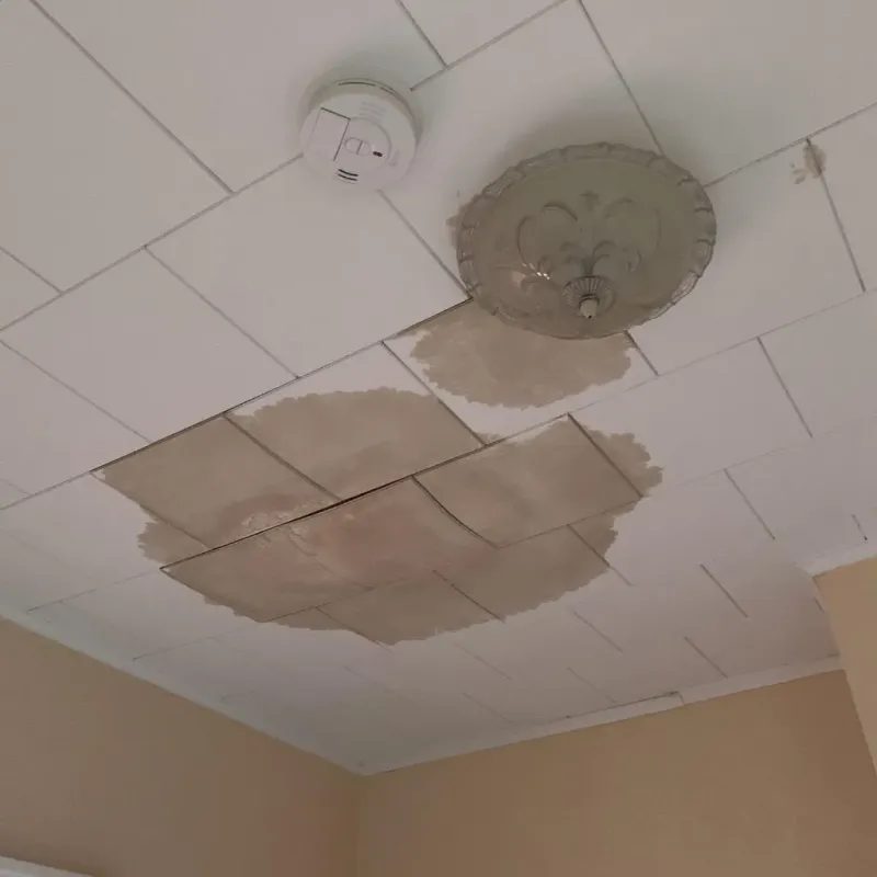 Ceiling Water Damage Repair in Morrison, IL