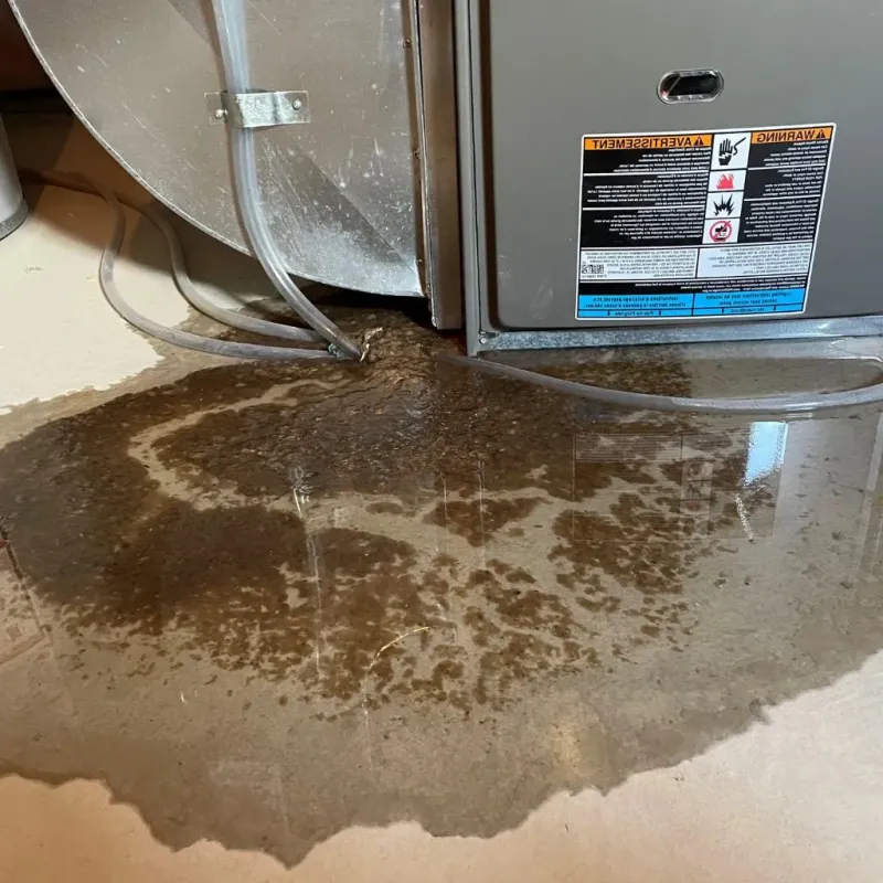 Pipe Burst and Leak Restoration in Morrison, IL